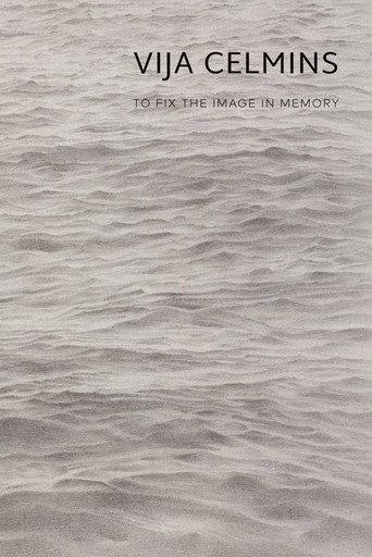 Vija Celmins: To Fix the Image in Memory (2022) poster