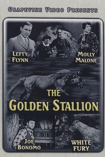 The Golden Stallion (1927) poster