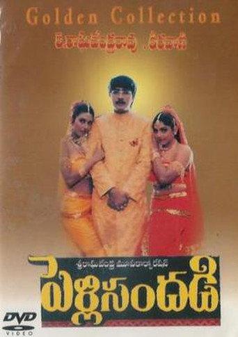 Pelli Sandadi (1996) poster