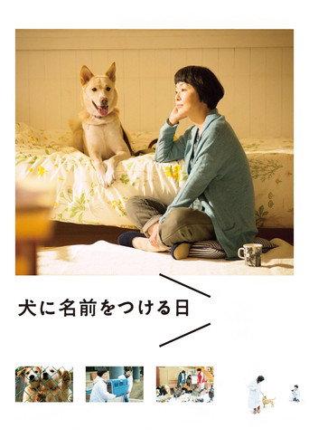 Dogs Without Names (2015) poster