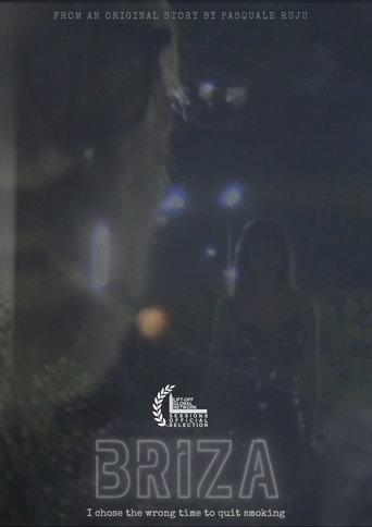 Briza (2025) poster