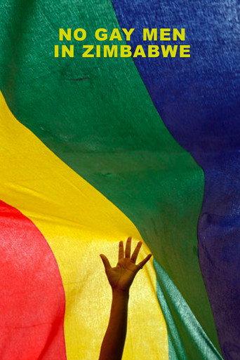 No Gay Men in Zimbabwe (2021) poster