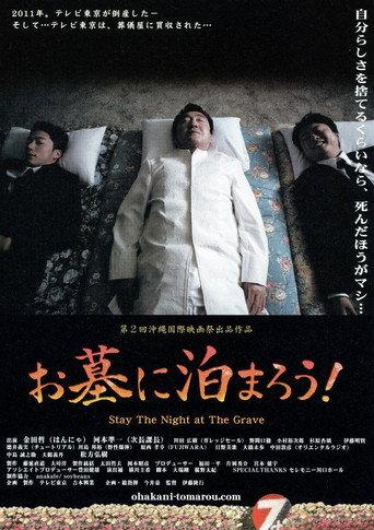 Stay the Night at the Grave (2010) poster