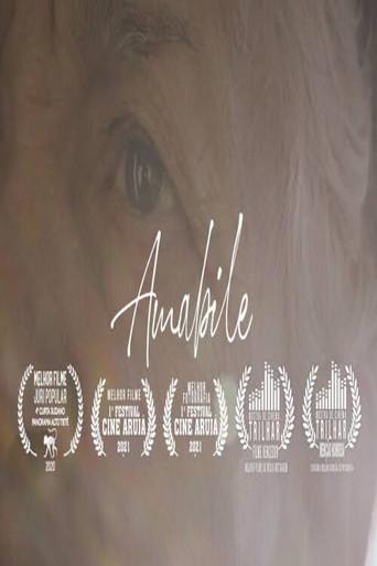 Amabile (2020) poster