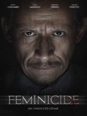 Feminicide () poster