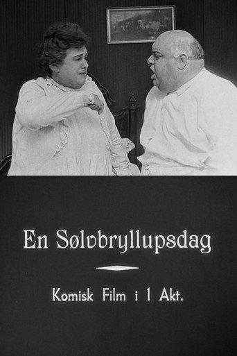 Their Silver Wedding (1920) poster