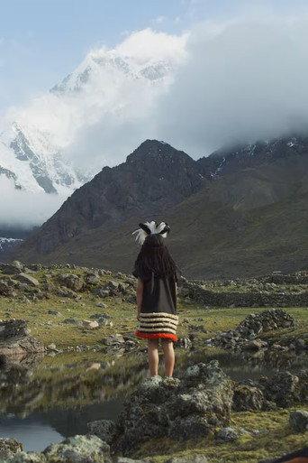 El Guardián de Los Andes (2024) poster