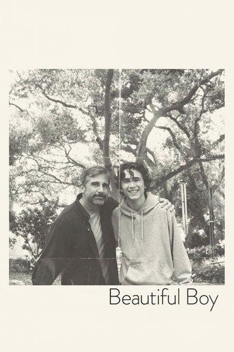 Beautiful Boy (2018) poster