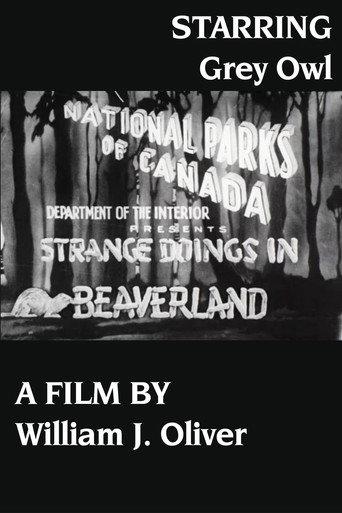 Strange Doings in Beaverland () poster