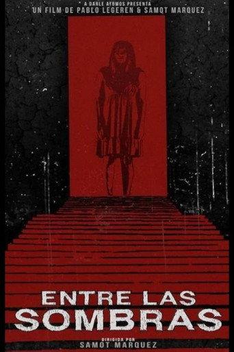 Entre las Sombras (2013) poster