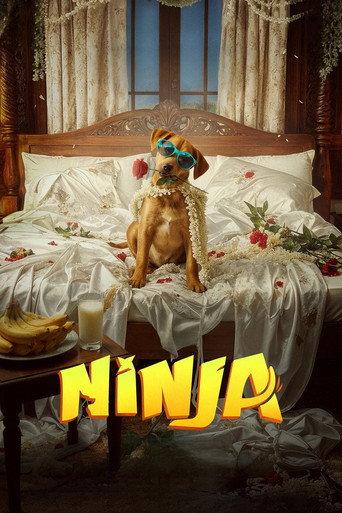 Ninja () poster