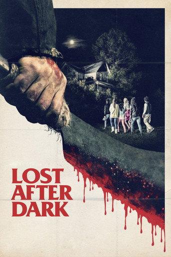 Lost After Dark (2014) poster