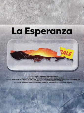 The Hope () poster