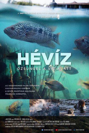 The Underwater Jungle (2025) poster