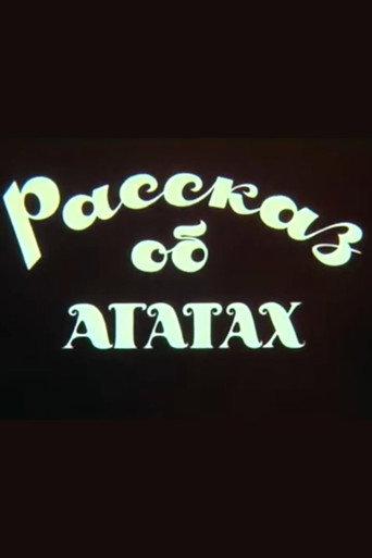 Story of agates (1979) poster