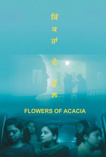 Flowers of Acacia (2026) poster