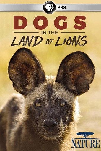 Dogs in the Land of Lions (2018) poster