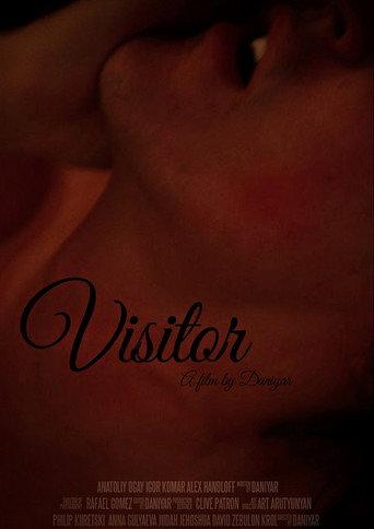 Visitor (2017) poster