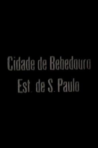 Cidade de Bebedouro - Est. de São Paulo (1911) poster