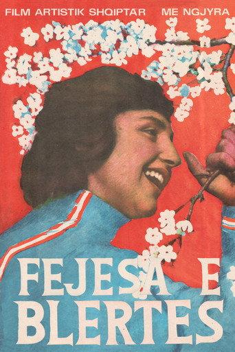 Blerta's Engagement (1984) poster