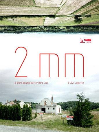 2mm (2024) poster