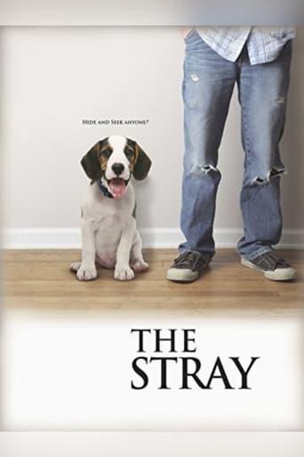 The Stray (2012) poster
