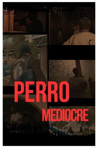 Perro Mediocre () poster