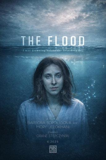 The Flood () poster