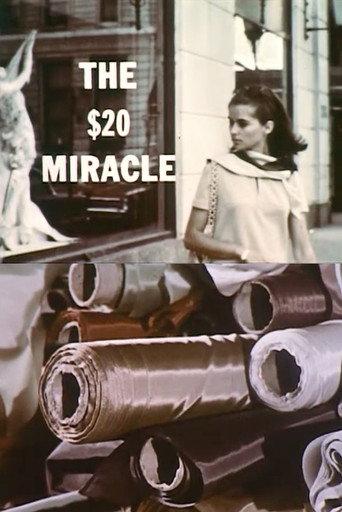 The Twenty Dollar Miracle (1967) poster