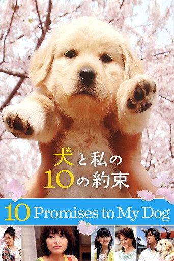 10 Promises to My Dog (2008) poster