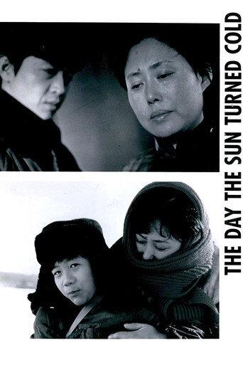 The Day the Sun Turned Cold (1994) poster