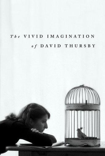 The Vivid Imagination of David Thursby () poster