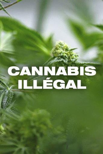 Cannabis illégal (2019) poster