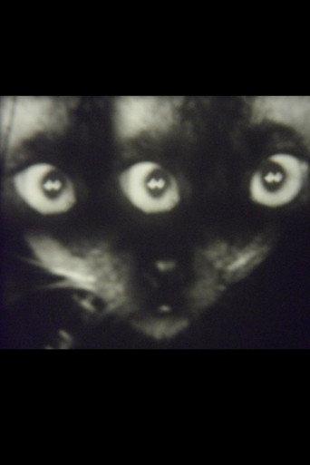 Wee Gee’s Camera Magic (1960) poster