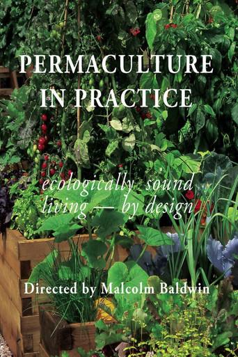 Permaculture in Practice (1997) poster