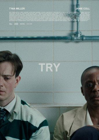 TRY (2026) poster