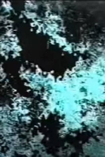 9006 (1999) poster