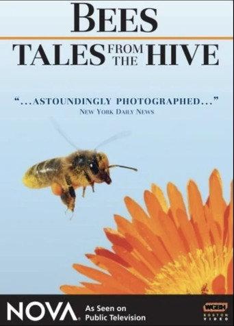 Bees - Tales from the Hive () poster