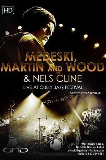Medeski, Martin & Wood, Nels Cline - Cully Jazz Festival (2014) poster