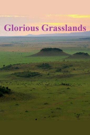 Glorious Grasslands (2021) poster