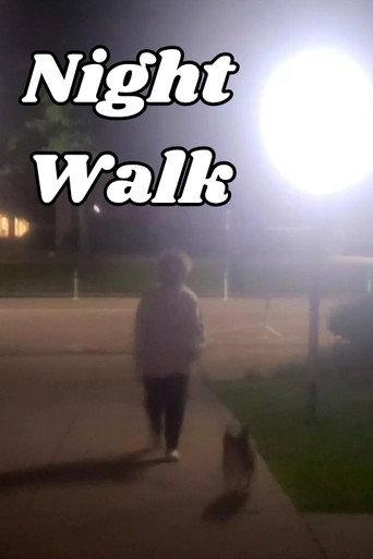 Night Walk (2023) poster