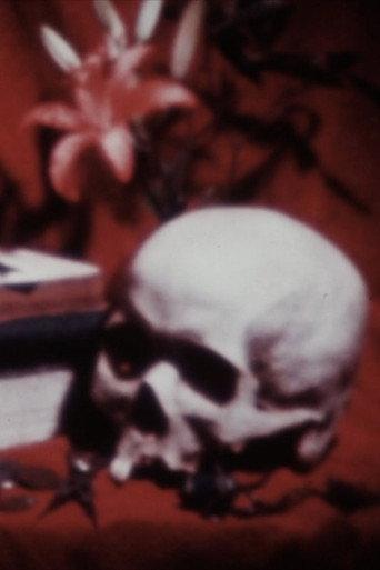 The Absence Of Filmmaker (1979) poster