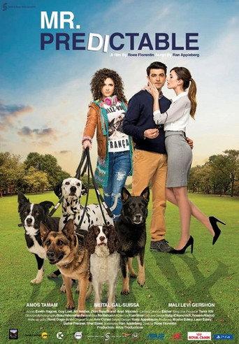 Mr. Predictable (2016) poster