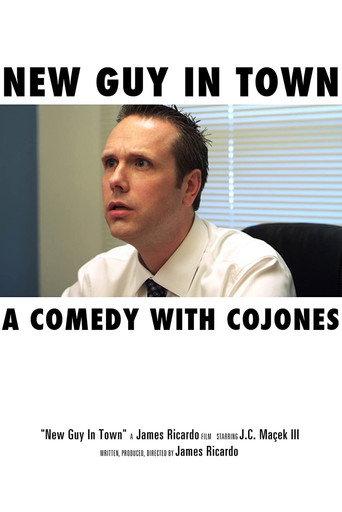 New Guy in Town (2012) poster