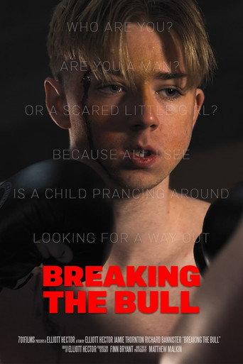 Breaking the Bull () poster