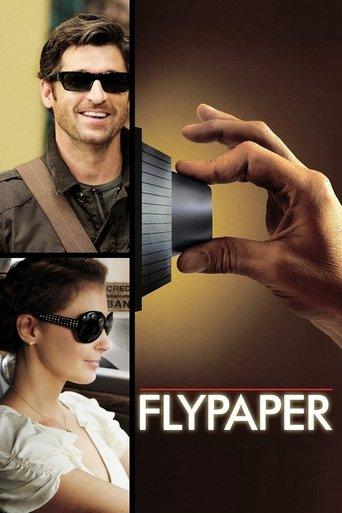 Flypaper (2011) poster