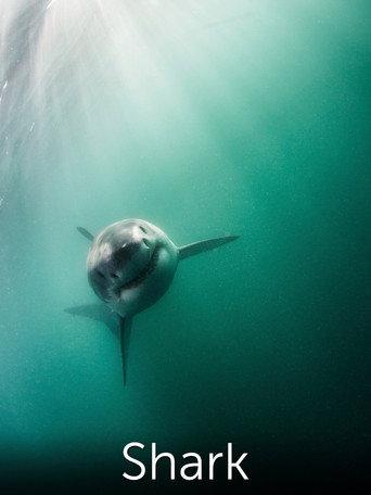Shark: Beneath the Surface (2015) poster