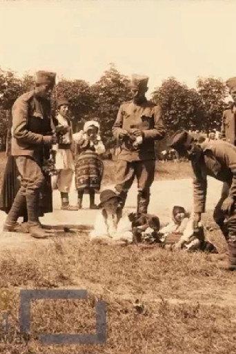 Life in the Serbian Army Camp in Banjica (1913) poster