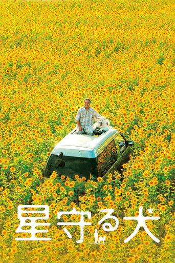 Star Watching Dog (2011) poster