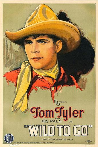 Wild to Go (1926) poster